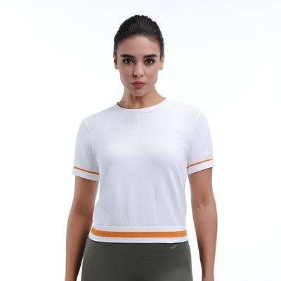 Good price Cropped Mesh Workout Short Sleeve Tops 92% Nylon 8% Spandex online